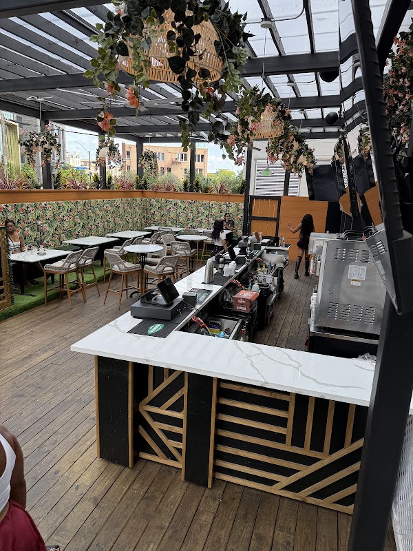 Seek Lounge